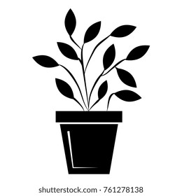 plant in pot icon