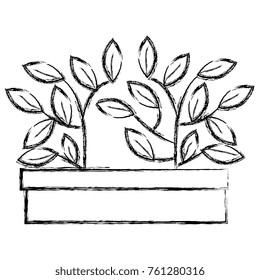 plant in pot icon