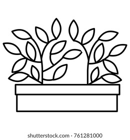 plant in pot icon