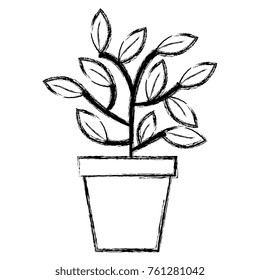 plant in pot icon