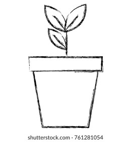 plant in pot icon
