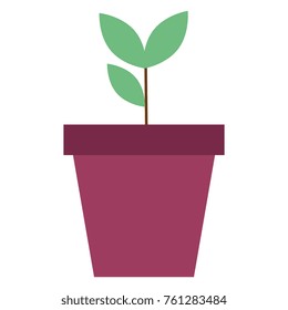 plant in pot icon
