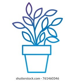 plant in pot icon