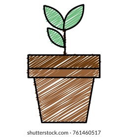 plant in pot icon