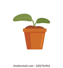 Plant pot icon. Flat illustration of Plant pot vector icon isolated on white background