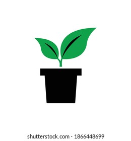 Plant in pot icon, format eps 8