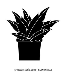 plant in pot icon image 