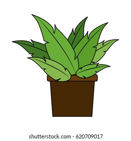plant in pot icon image 