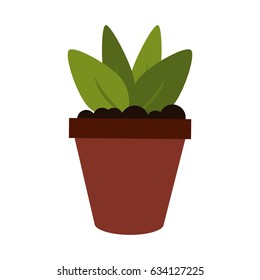 plant in pot icon image