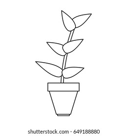 plant in pot icon image 