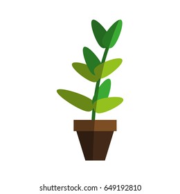 plant in pot icon image 