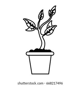plant in pot icon image 