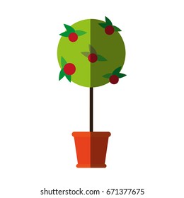 plant in pot icon image 