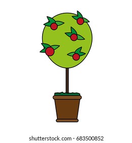 plant in pot icon image