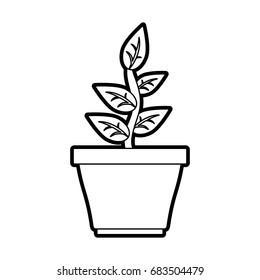 plant in pot icon image