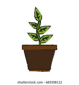 plant in pot icon image