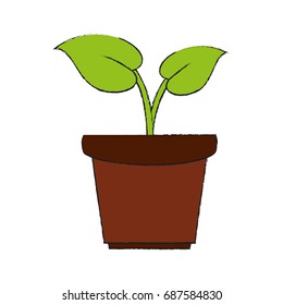 plant in pot icon image 
