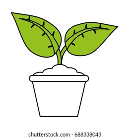 plant in pot icon image