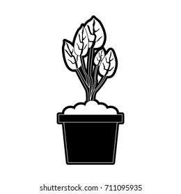 plant in pot icon image 