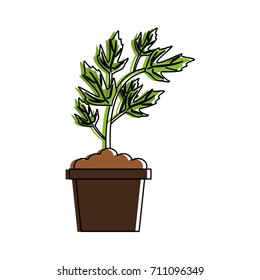 plant in pot icon image 
