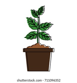 plant in pot icon image 