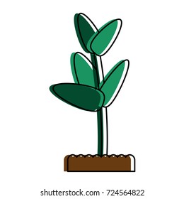 plant in pot icon image 