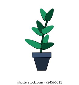 plant in pot icon image 