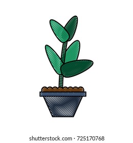 plant in pot icon image