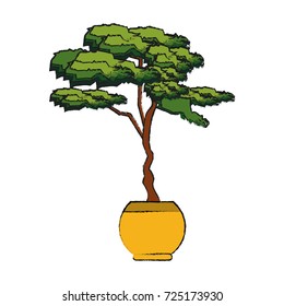 plant in pot icon image