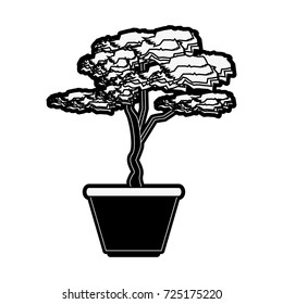 plant in pot icon image