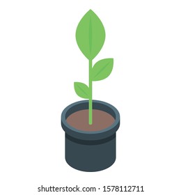 Plant pot icon. Isometric of plant pot vector icon for web design isolated on white background