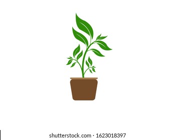 plant pot icon. Logo element illustration EPS 10. plant pot symbol design. Green colored collection. Green plant pot concept. Can be used in web and mobile