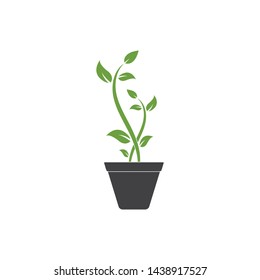 plant pot icon logo vector illustration design template