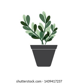 plant pot icon logo vector illustration design template