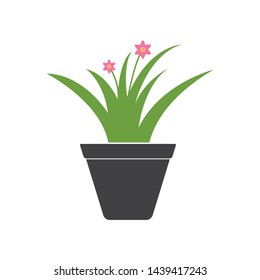 plant pot icon logo vector illustration design template