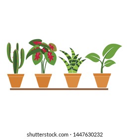 plant in pot icon logo vector illustration design template