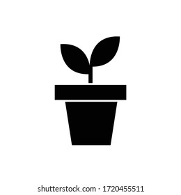 plant pot icon vector design trendy