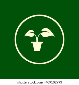 plant in pot icon. vector eps10 icon
