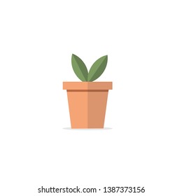 plant pot icon, vector flower plant, gardening illustration 