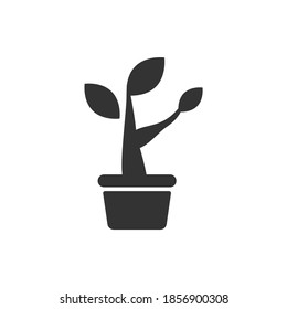 plant pot icon vector illustration