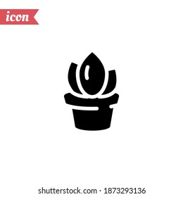 plant in the pot icon. Vector illustration EPS 10.