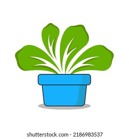 Plant pot icon vector illustration, abstract plant illustration icon vector