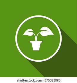 plant in pot icon. vector illustration