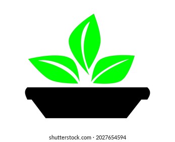 Plant pot icon vector isolated on white background.