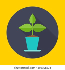 plant in the pot. Icon vector with long shadow. Flat design style.
