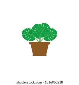 planta en un icono de la olla símbolo vector ilustración aislada fondo blanco