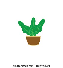 plant in a pot icon vector symbol isolated illustration white background