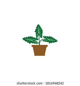plant in a pot icon vector symbol isolated illustration white background