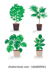 Plant pot illustration. Set of plants in pots