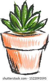 Plant in pot, illustration, vector on white background.